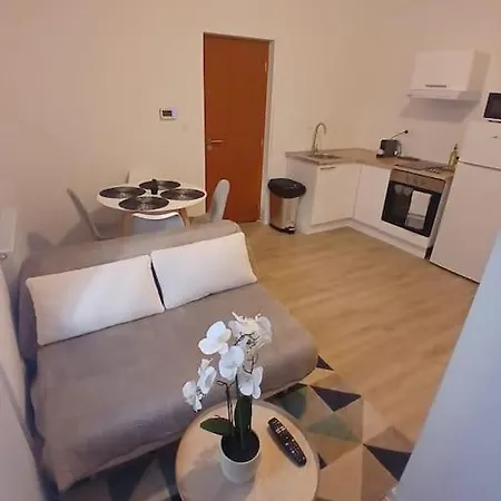 Appartement F1 Orchidee Mulhouse Esterno foto