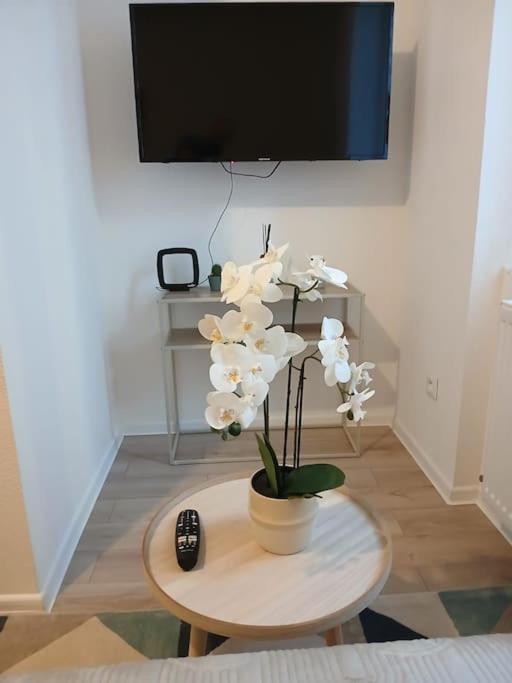 F1 Orchidee Mulhouse